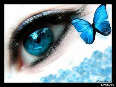 tout le monde ...